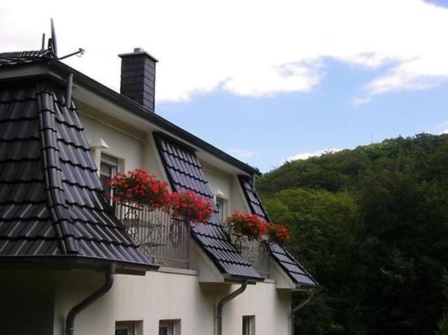 Weisses-Haus-Am-Kurpark-Fewo-Waldblick Quedlinburg Exteriér fotografie